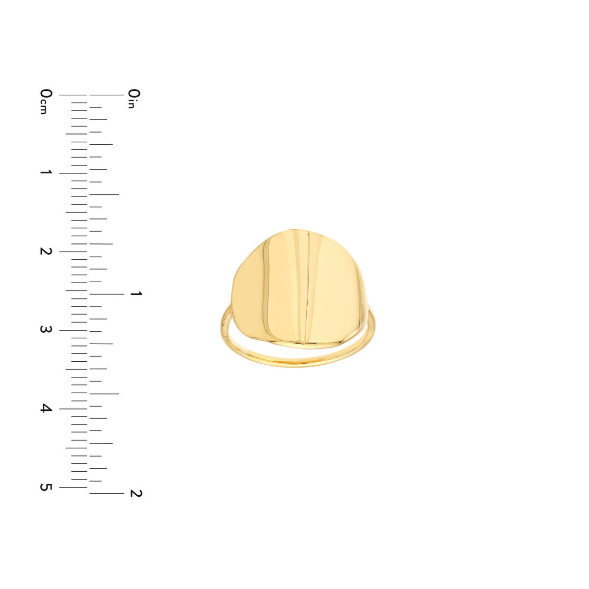 14K Organic Round Ring