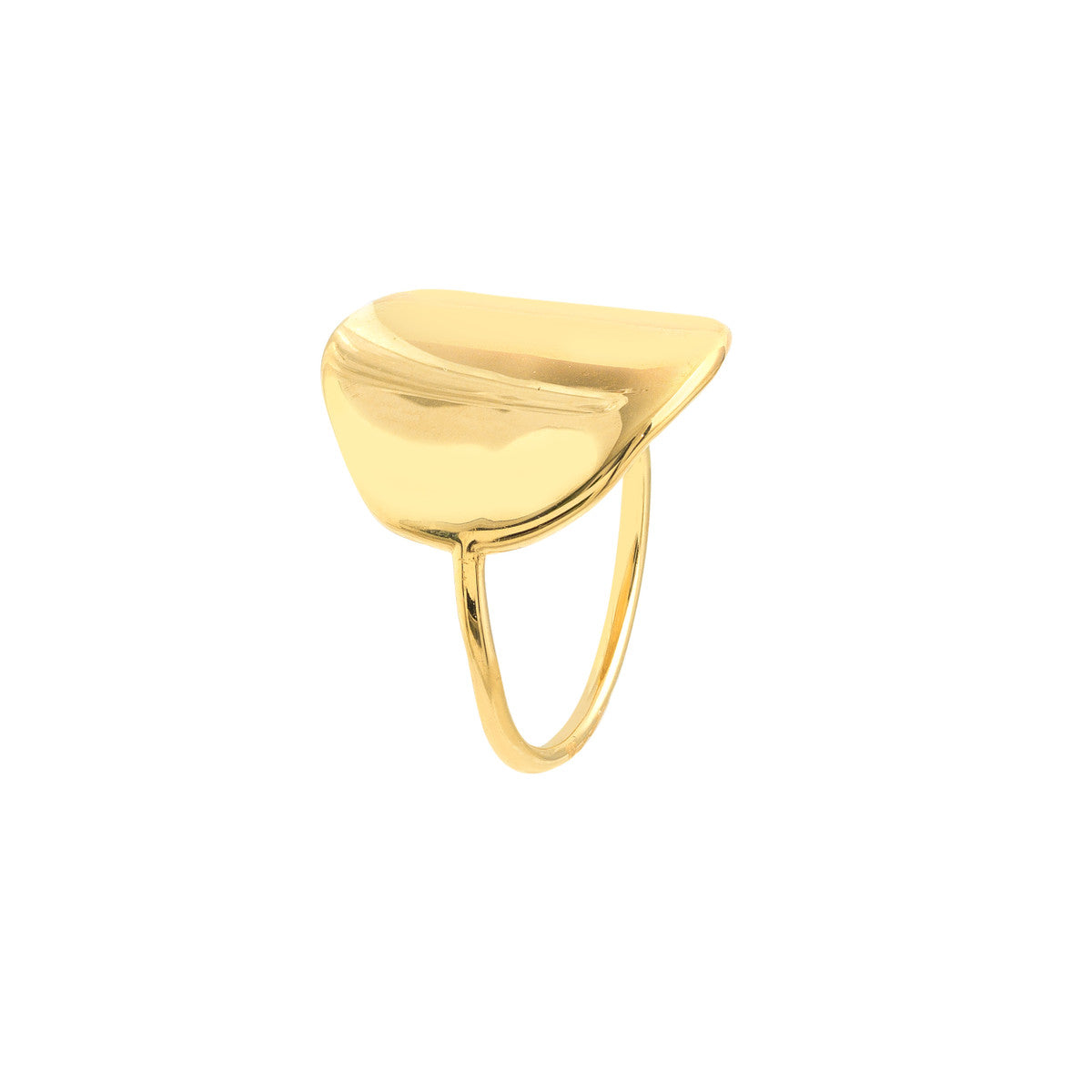 14K Organic Round Ring